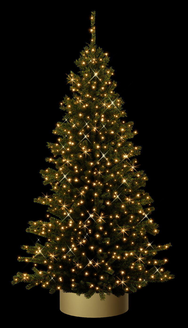 QuickFix® Tree
