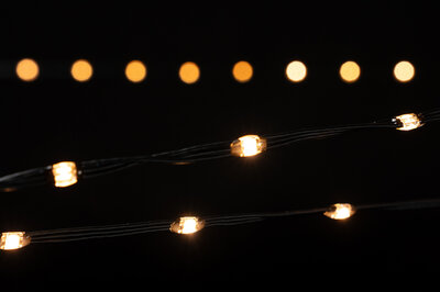 LED Micro String Lite® 240 - 12