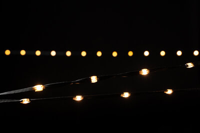 LED Micro String Lite® 240 - 12