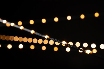 LED Micro String Lite® 240 - 12