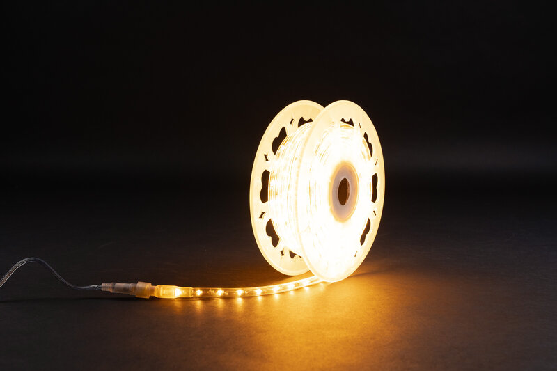 LED Rope Light 30