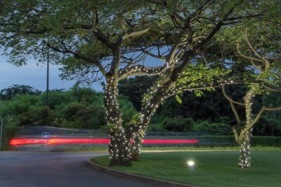LED String Lite® 90