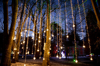 LED Flashing String Lite® 120