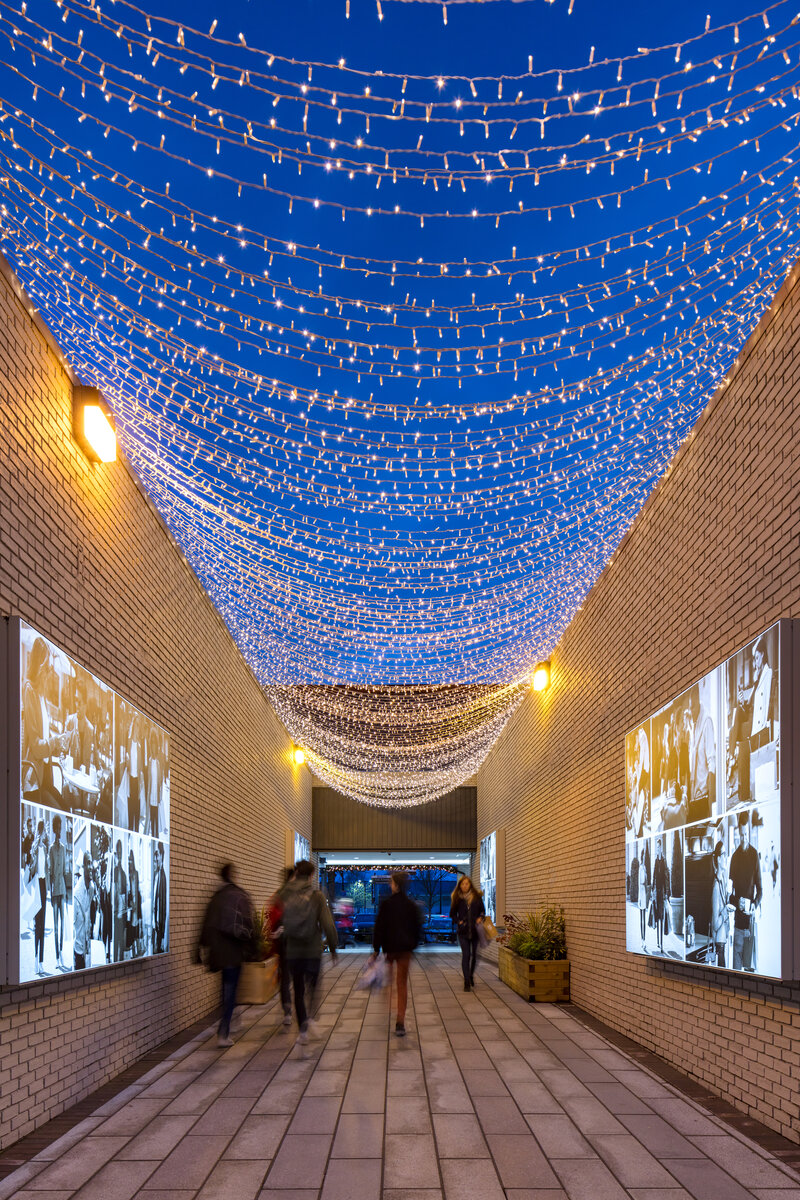 LED String Lite® 160 - 36V
