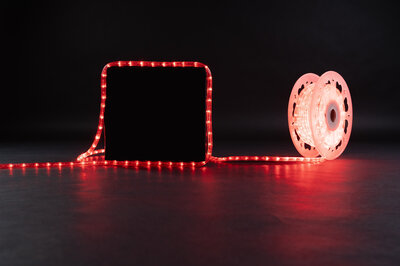 LED Rope Light 30