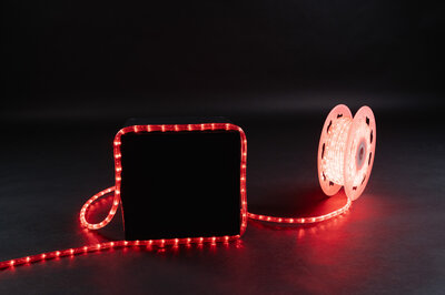 LED Rope Light 30