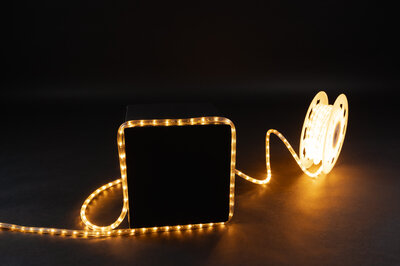 LED Rope Light 30