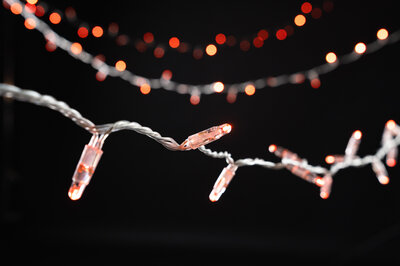 LED String Lite® 160 - 36V